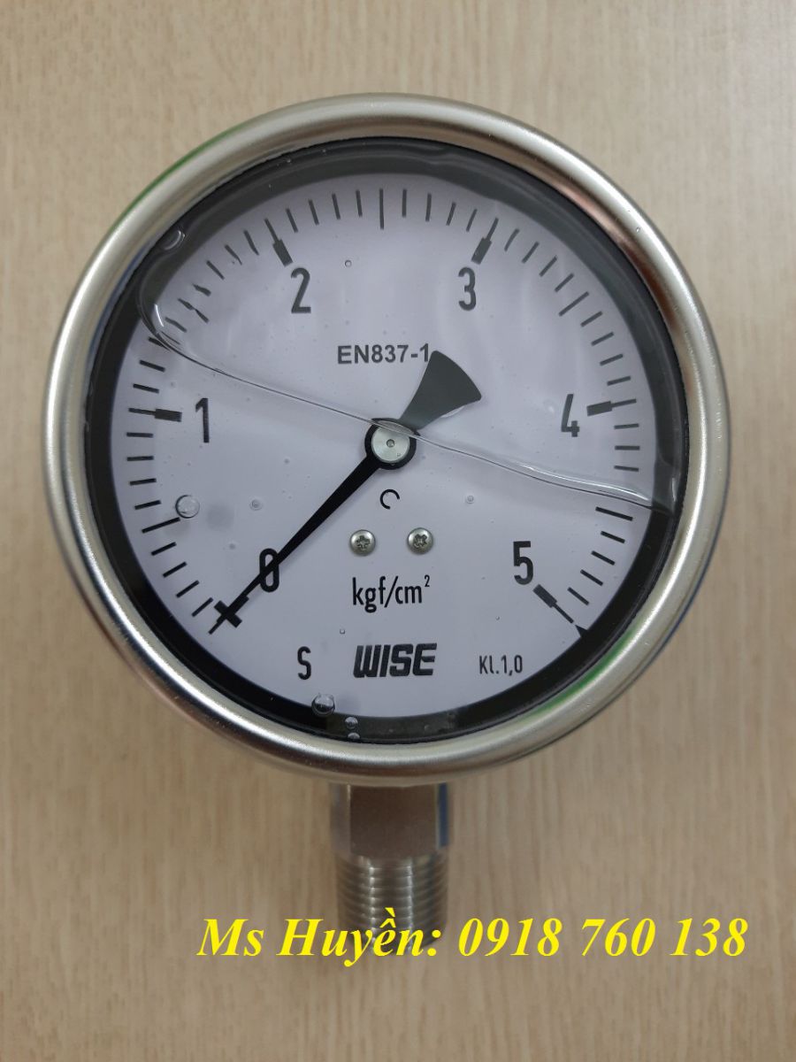 Đồng hồ áp suất WISE P258
